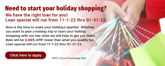 Holiday Shopping Loans